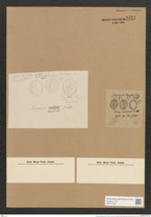 Cocconeis australis Petit. (de-Toni-Nr.: Genus 40, Species 1804) Zeichnungen Sammlung Grunow Nr. 3591 (NHMW-BOT-W0371182)